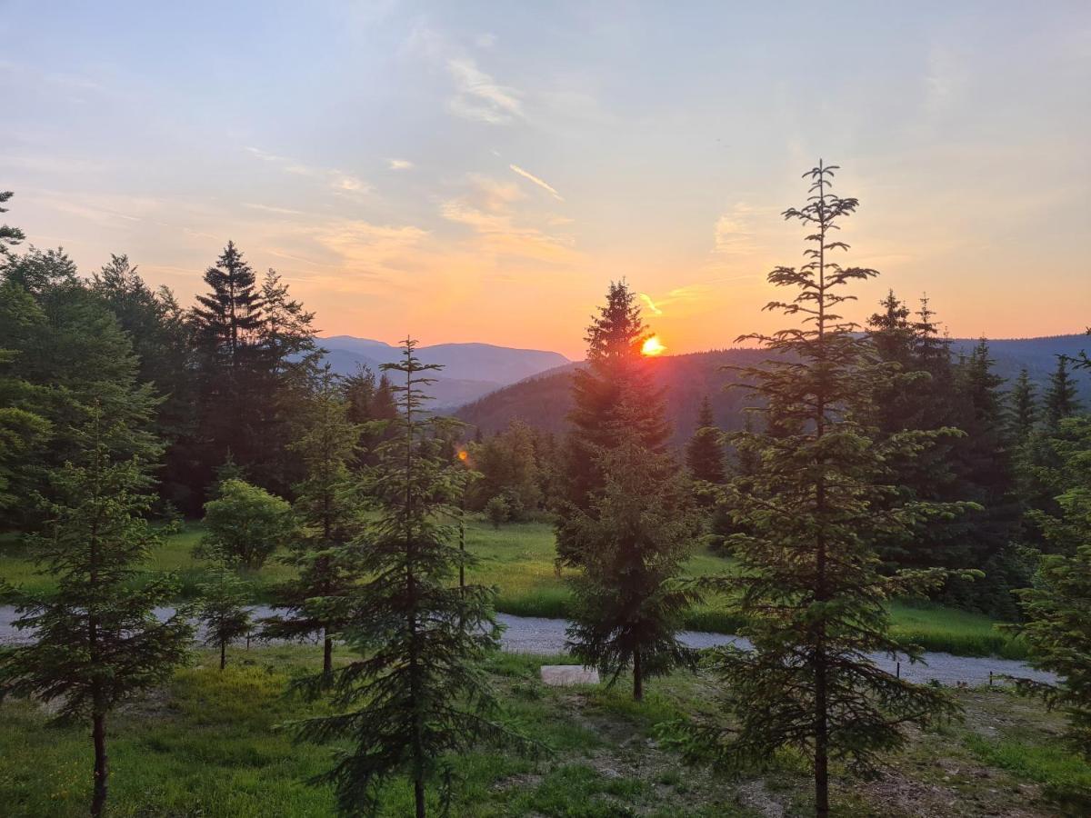 Vrleti Tare Villa Bajina Basta Dış mekan fotoğraf