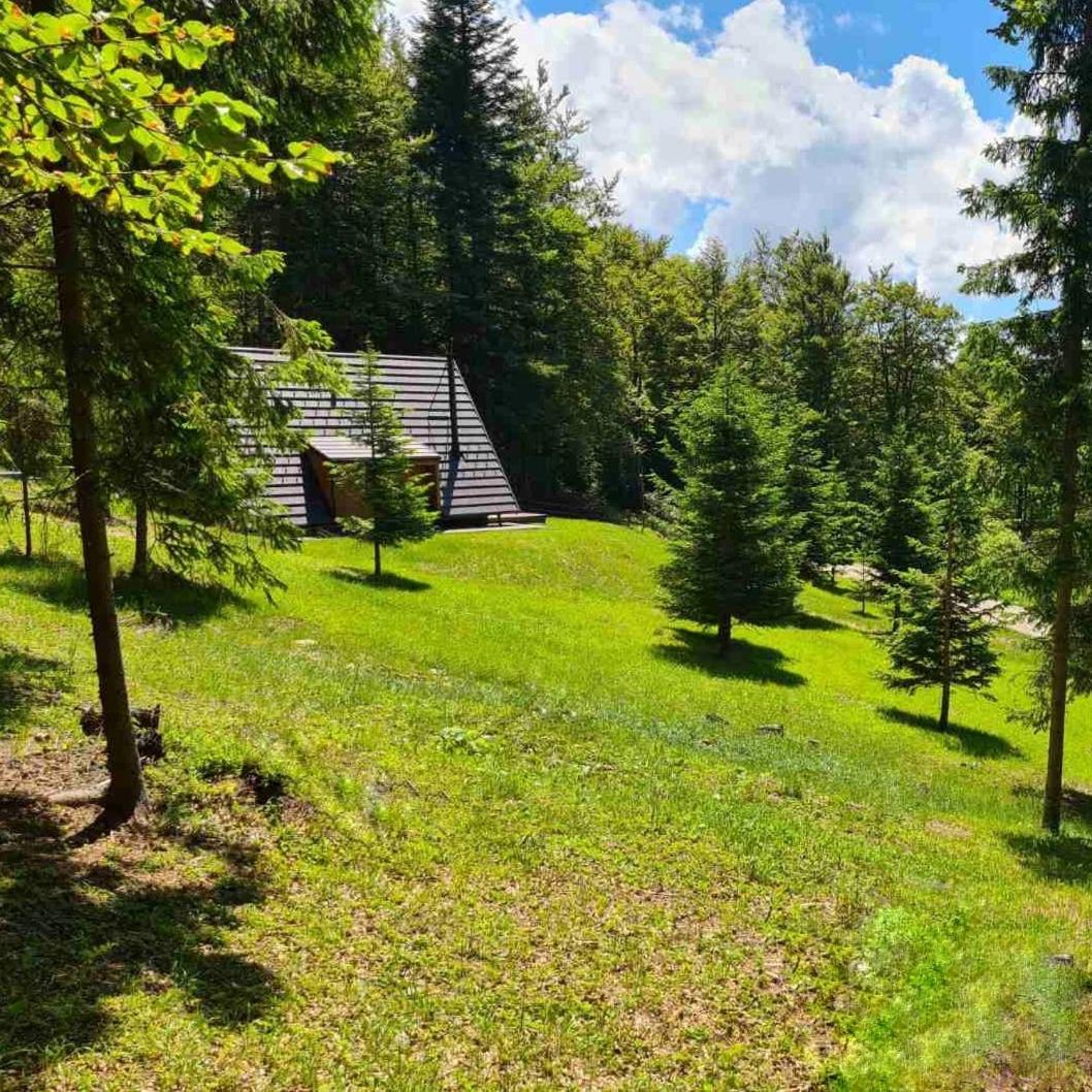 Vrleti Tare Villa Bajina Basta Dış mekan fotoğraf
